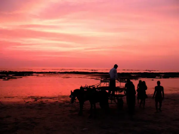 Kihim beach near Alibag, lined with trees