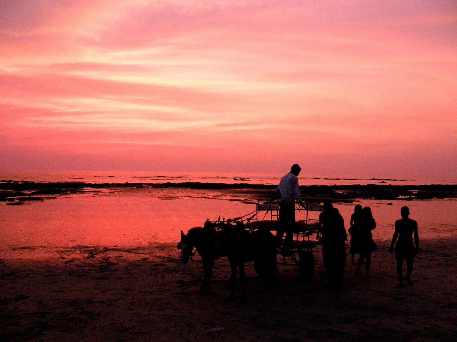 Kihim beach near Alibag, lined with trees