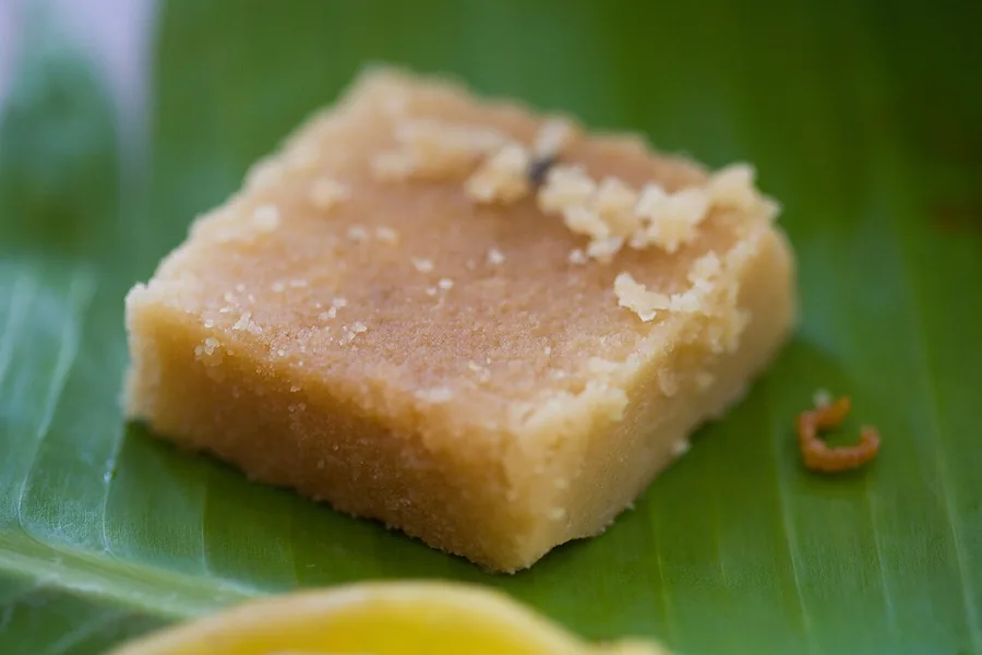 A piece of Mysore pak, the ghee-rich sweet from Mysuru