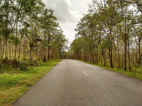 The highway running through the deciduous forest of Bandipur Tiger Reserve