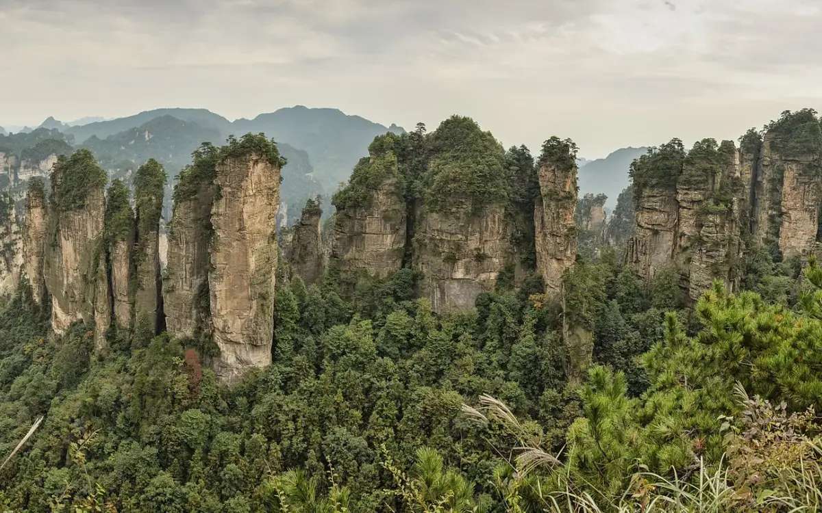 Quartzite sandstone pillars of Five Fingers Peak in Zhangjiajie, Hunan, under a clear sky.
