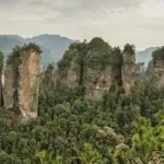 Quartzite sandstone pillars of Five Fingers Peak in Zhangjiajie, Hunan, under a clear sky.