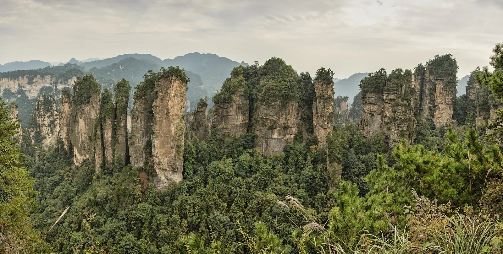 Quartzite sandstone pillars of Five Fingers Peak in Zhangjiajie, Hunan, under a clear sky.