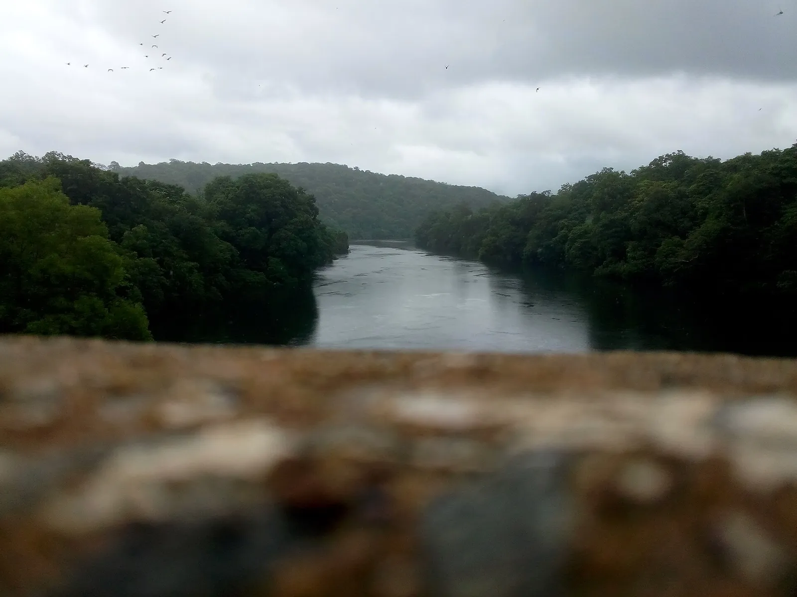 The Kali River seen from a bridge at Dandeli