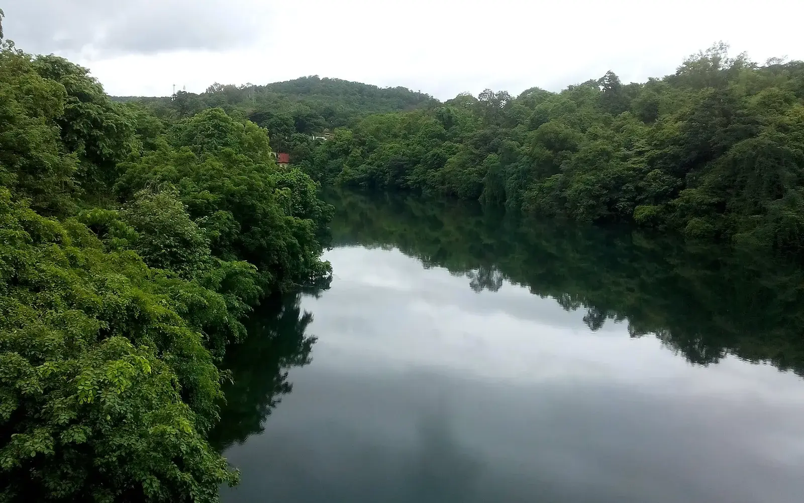 The Kali River winding through forest near Dandeli