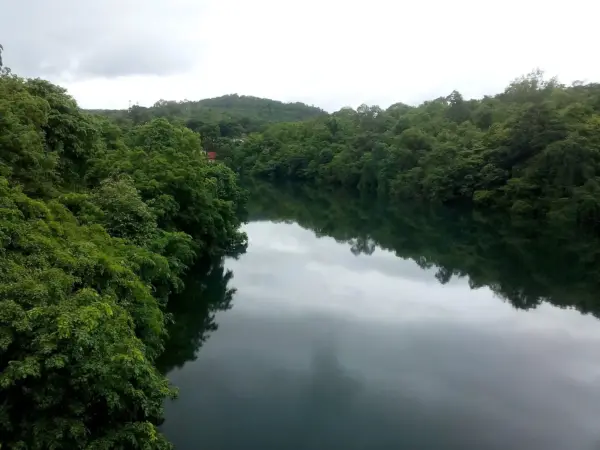 The Kali River winding through forest near Dandeli
