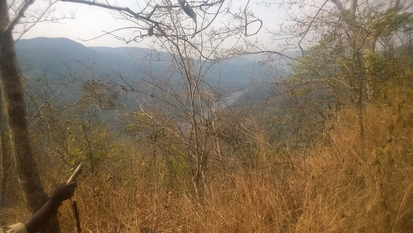 Forested hills around the Kavala caves near Dandeli