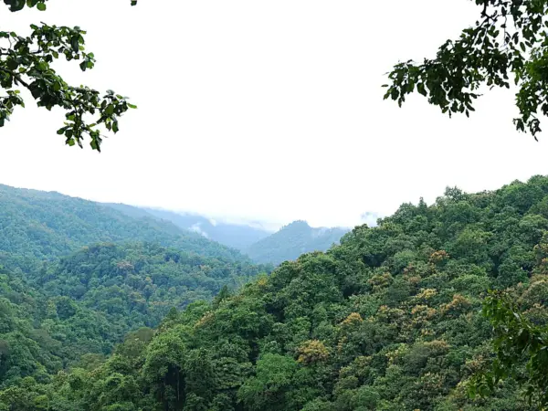 Forested hills of the Western Ghats around Dandeli