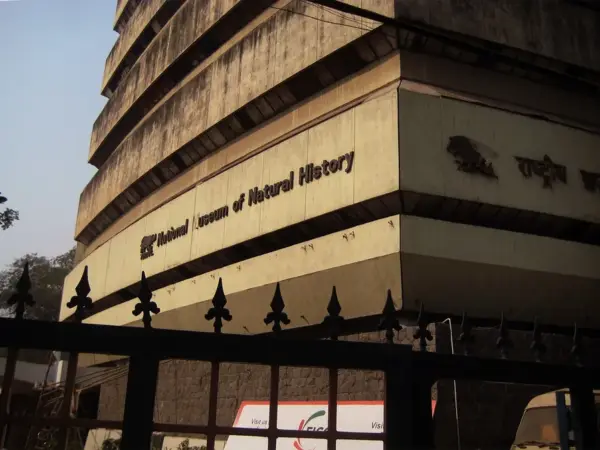 National Museum of Natural History, Delhi