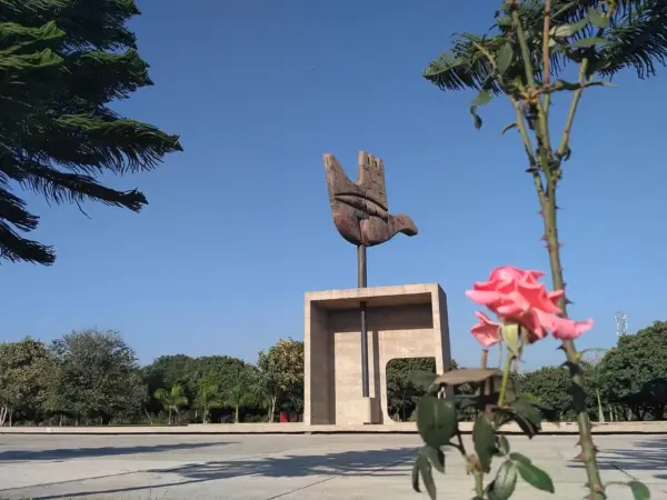 Chandigarh, Delhi