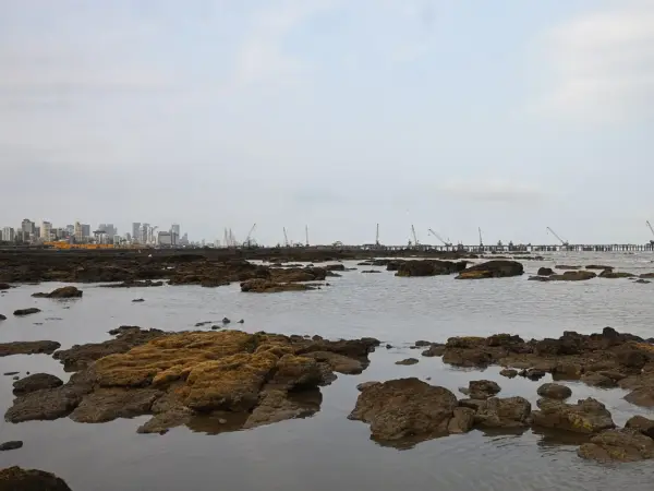 Mumbai skyline with construction cranes along the coastal road, viewed from Carter Road
