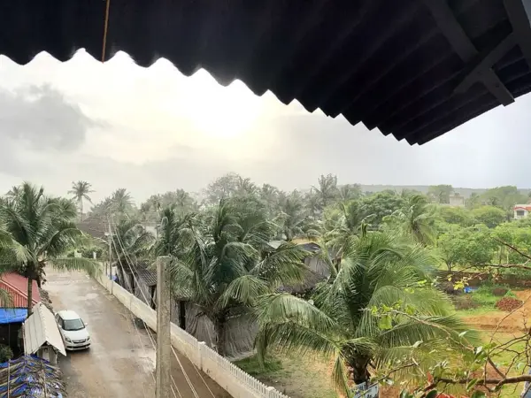 Wide view of Baga beach showing shoreline, palm trees and distant sea