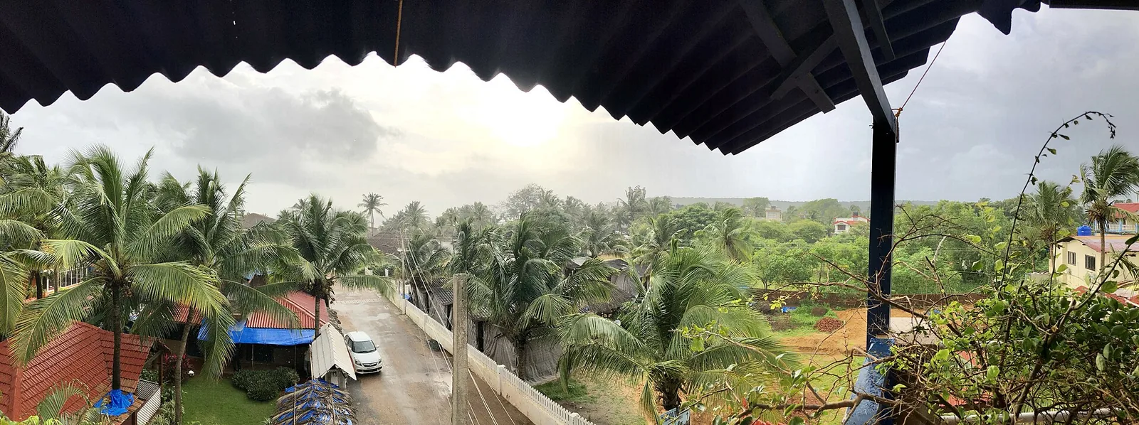Wide view of Baga beach showing shoreline, palm trees and distant sea