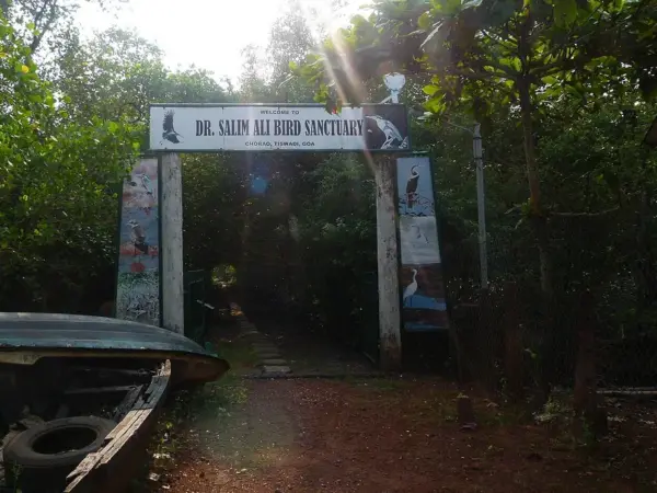 Salim Ali Bird Sanctuary, Goa