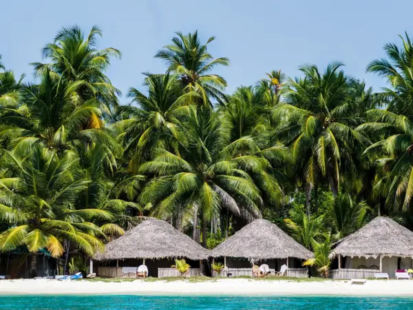Thatched beach huts under coconut palms on Bangaram Island