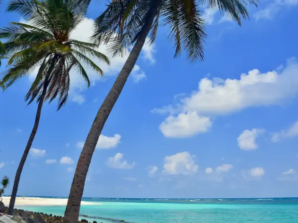Turquoise water laps white sand while coconut palms sway on Agatti Island.