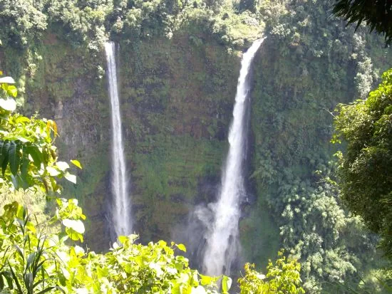 Tad Fane waterfall plunging into the forest on the Bolaven Plateau