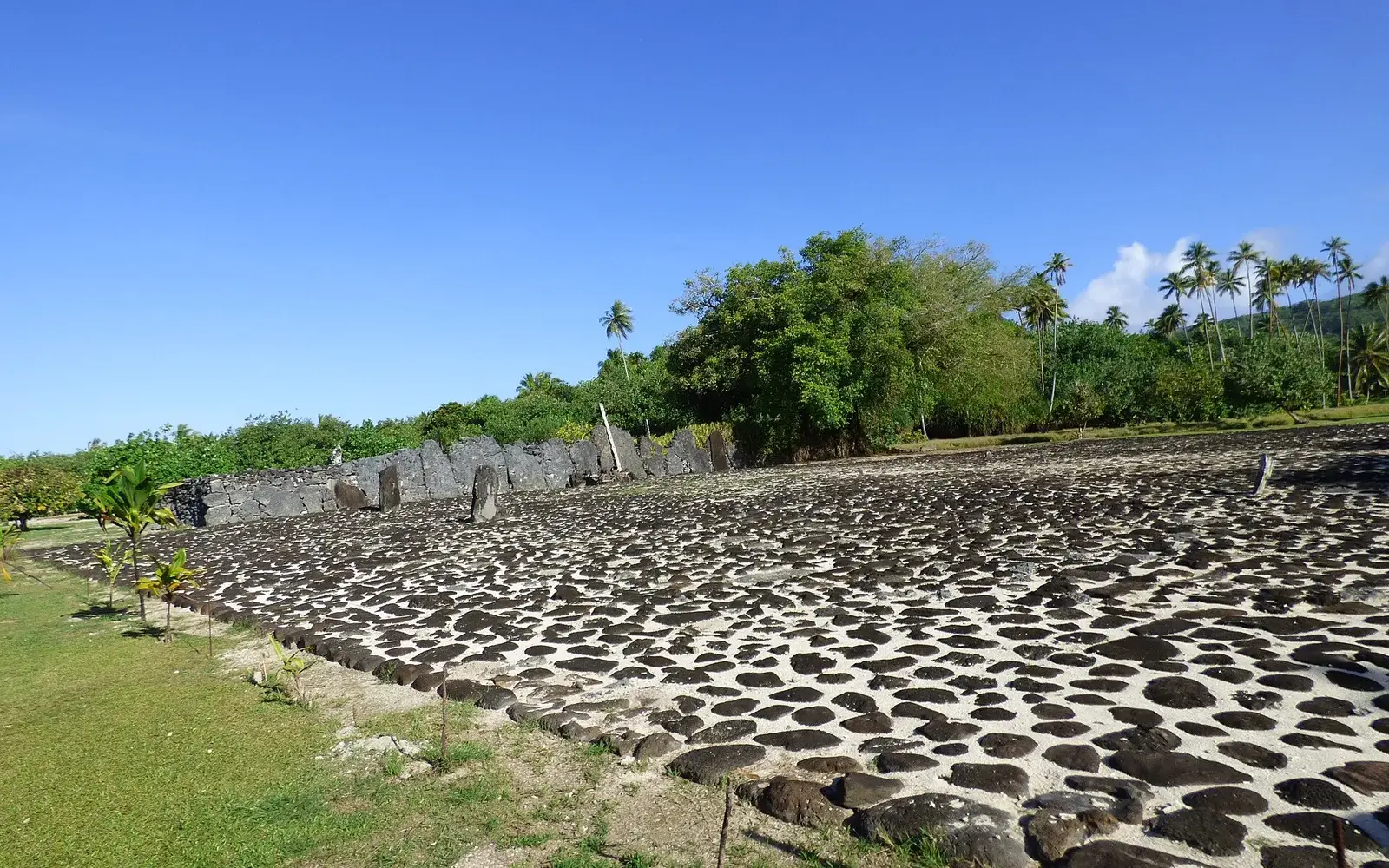 Stone platforms of the Taputapuātea marae on Raiatea’s south-east coast
