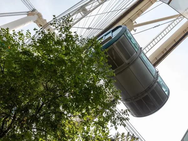 Singapore Flyer giant observation wheel against a clear sky, its capsules visible on the rotating rim